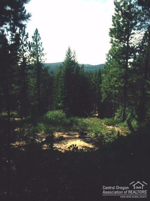 23Snowflake Court, Crescent Lake, OR 97733