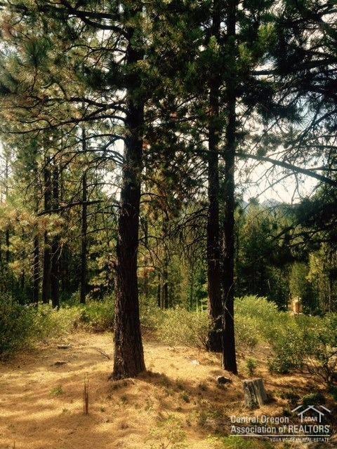 23Snowflake Court, Crescent Lake, OR 97733