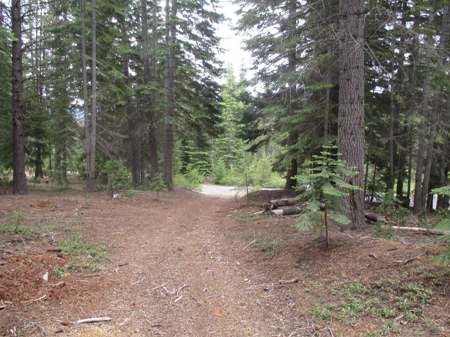 29Aspen Highlands, Crescent Lake, OR 97733
