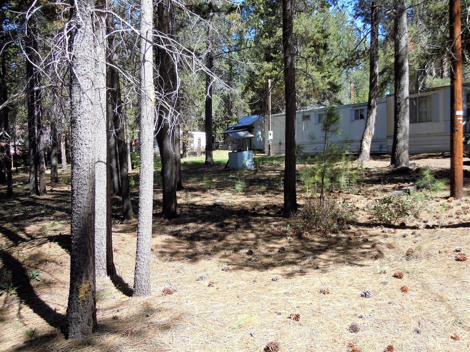 1371484th, Crescent, OR 97733