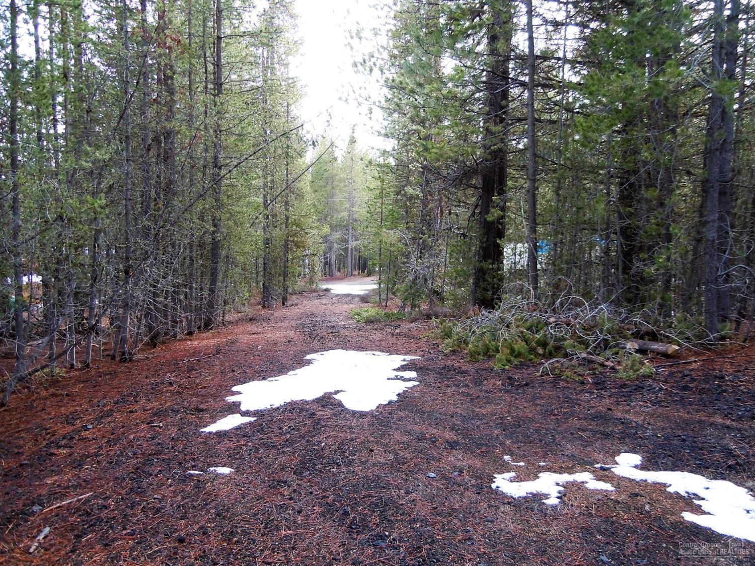 142051Karen Lane, Crescent Lake, OR 97733