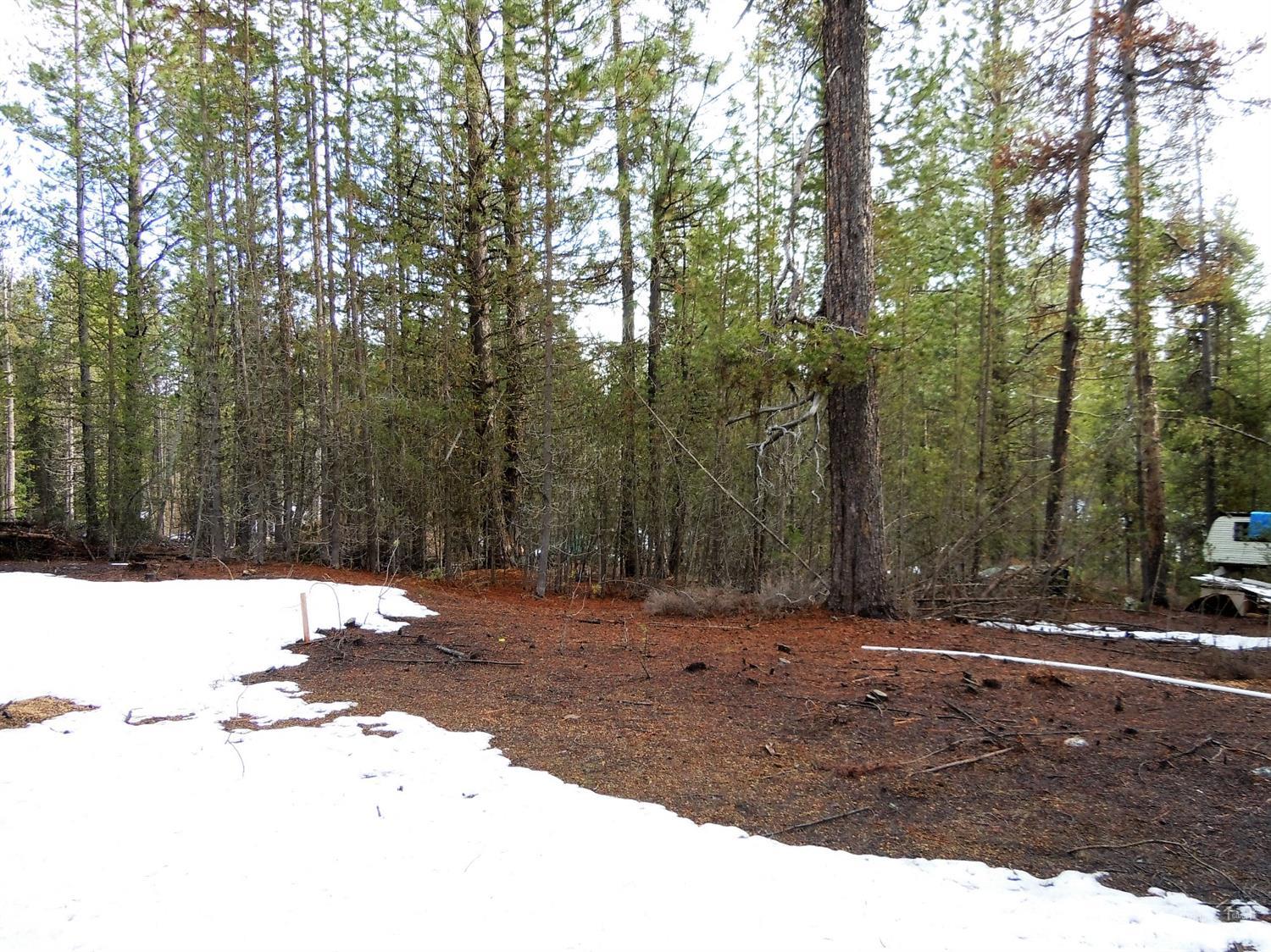 142051Karen Lane, Crescent Lake, OR 97733
