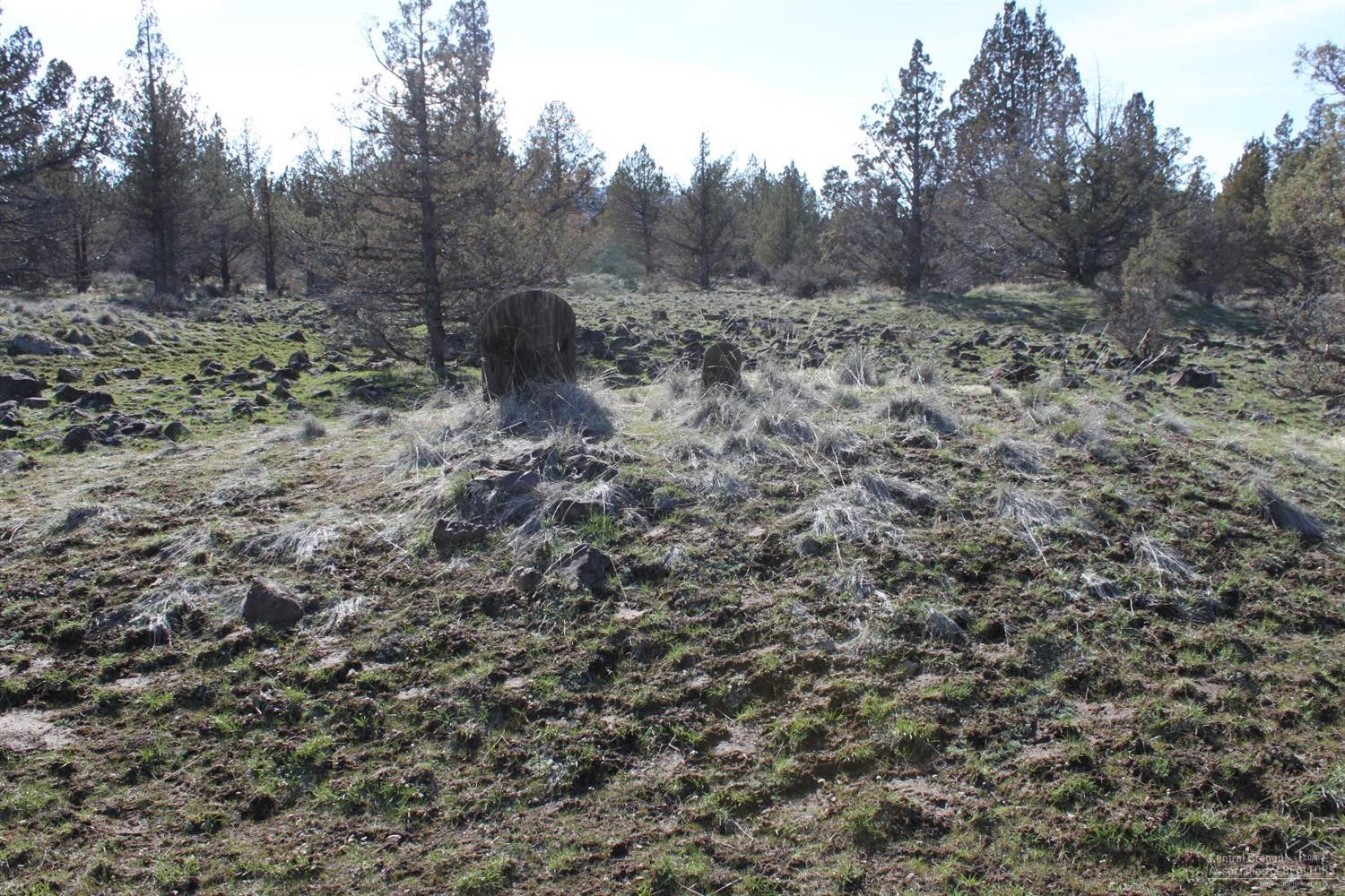 0-TL 04200 Southwest County Road 590, Culver, OR 97734