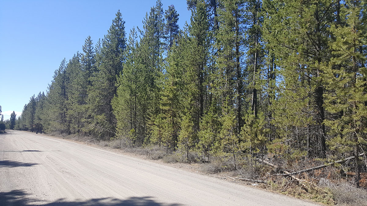 51241 Riverland Ave, La Pine, OR 97739