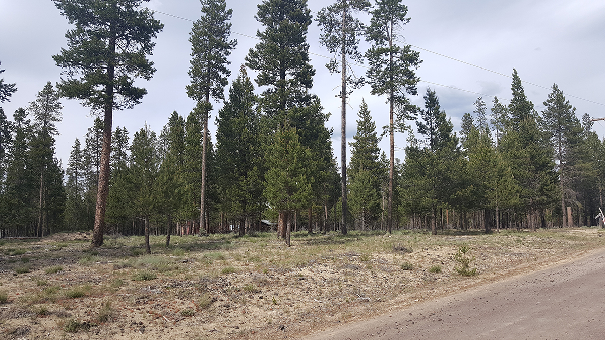 2700 Lot Alderwood Dr, La Pine, OR 97739