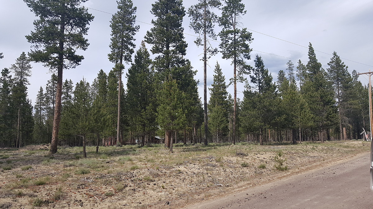 2700 Lot Alderwood Dr, La Pine, OR 97739