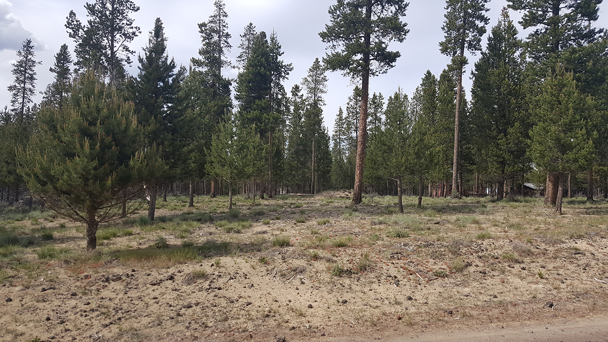 2700 Lot Alderwood Dr, La Pine, OR 97739
