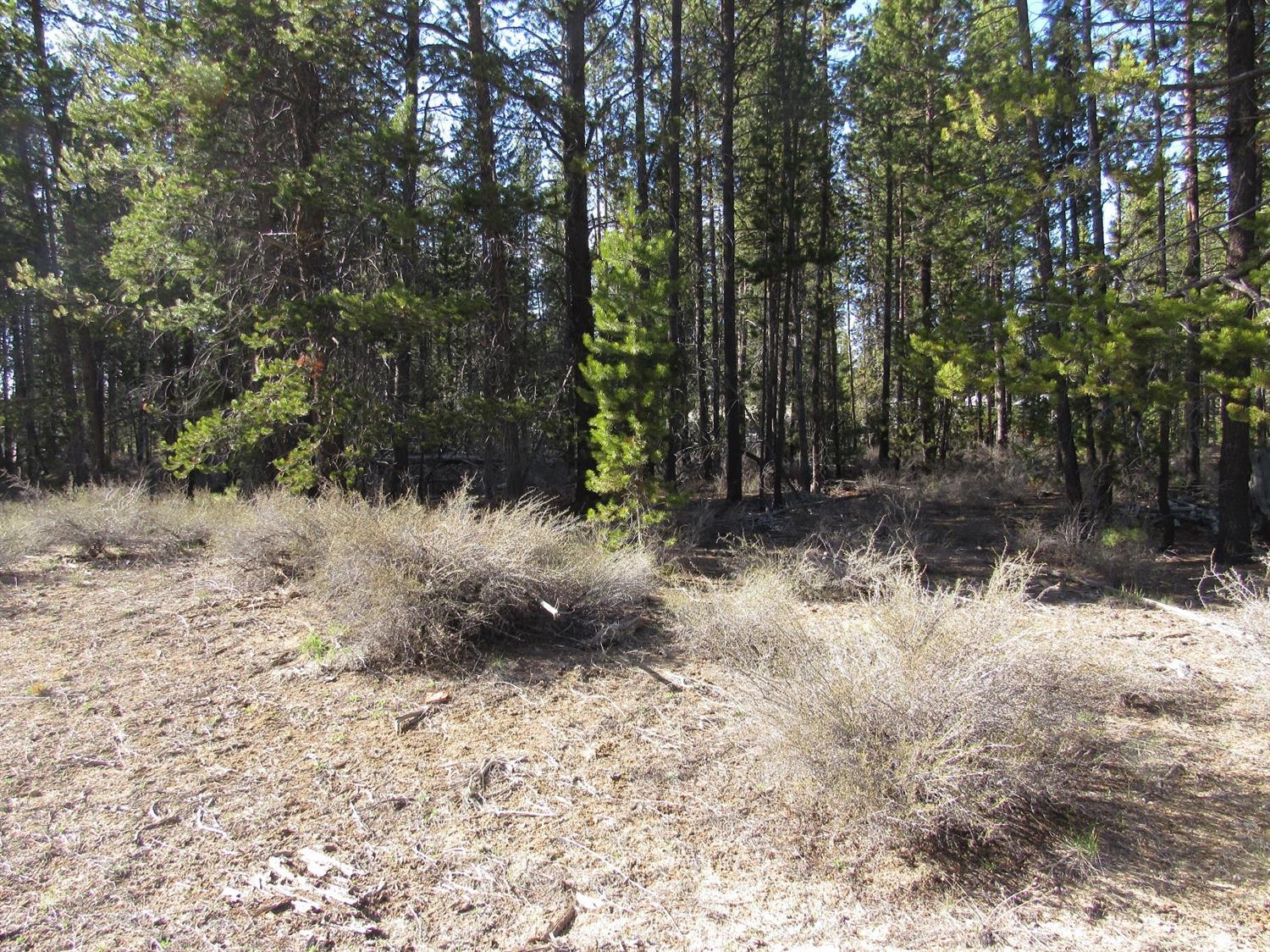 4000Faun Lane, La Pine, OR 97739