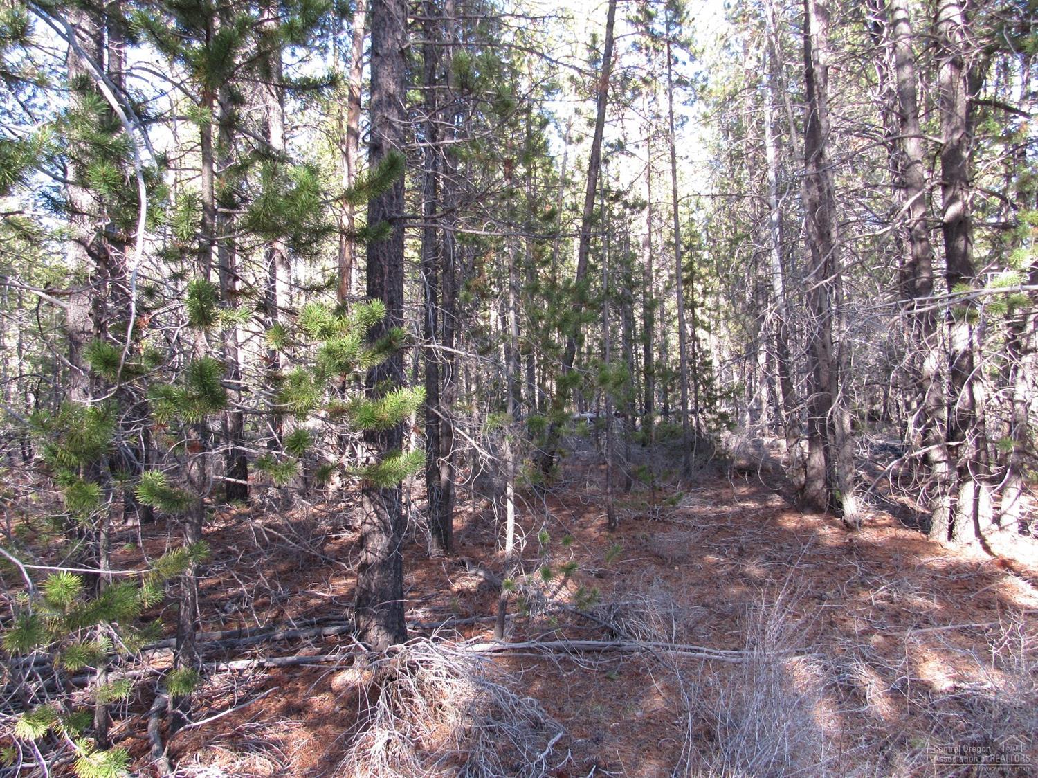 4000Faun Lane, La Pine, OR 97739