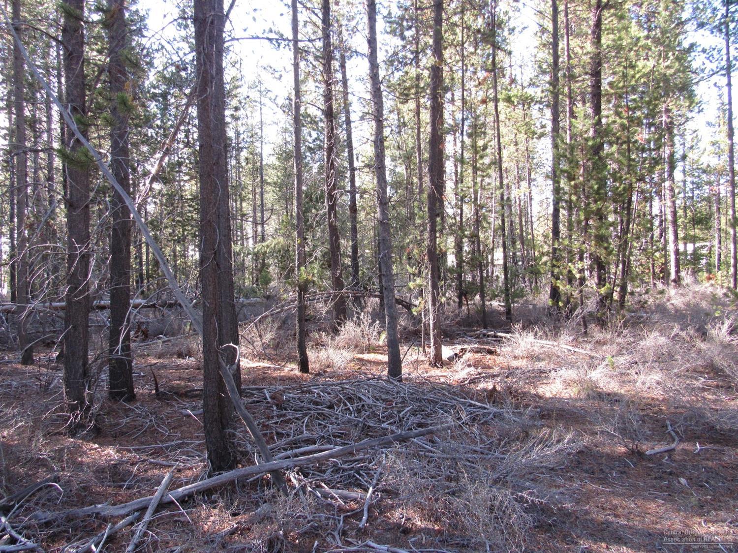 4000Faun Lane, La Pine, OR 97739
