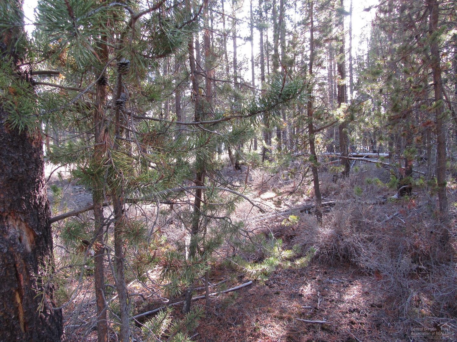 4000Faun Lane, La Pine, OR 97739