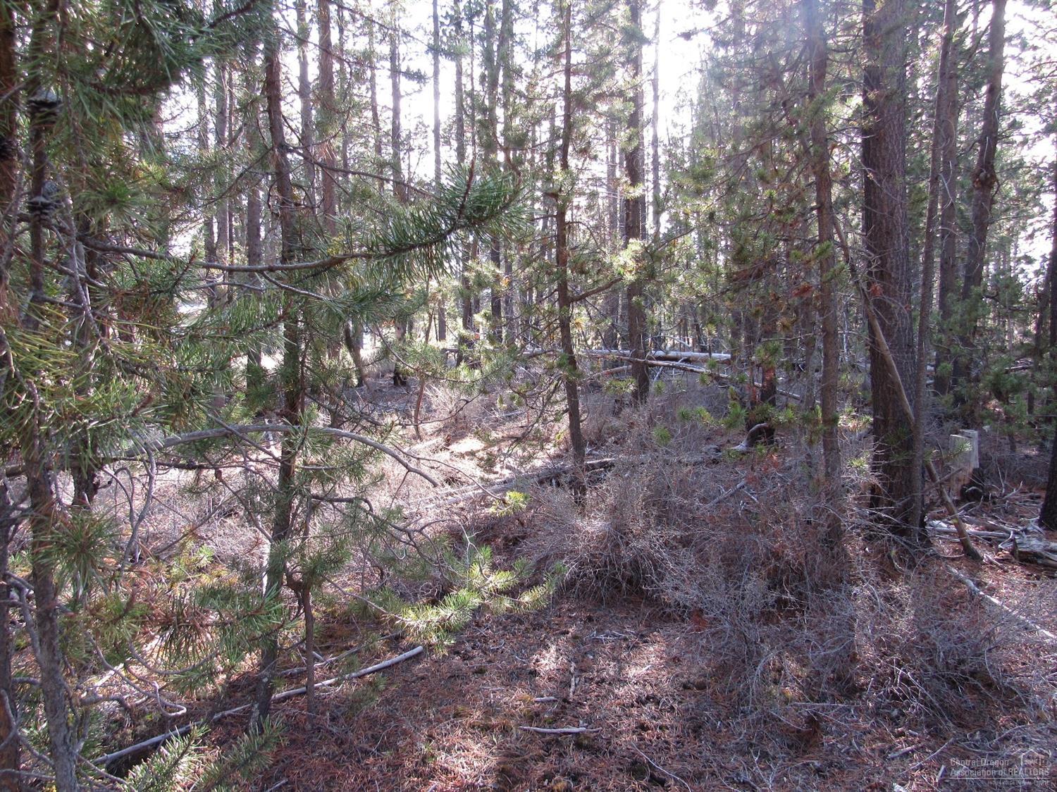 4000Faun Lane, La Pine, OR 97739