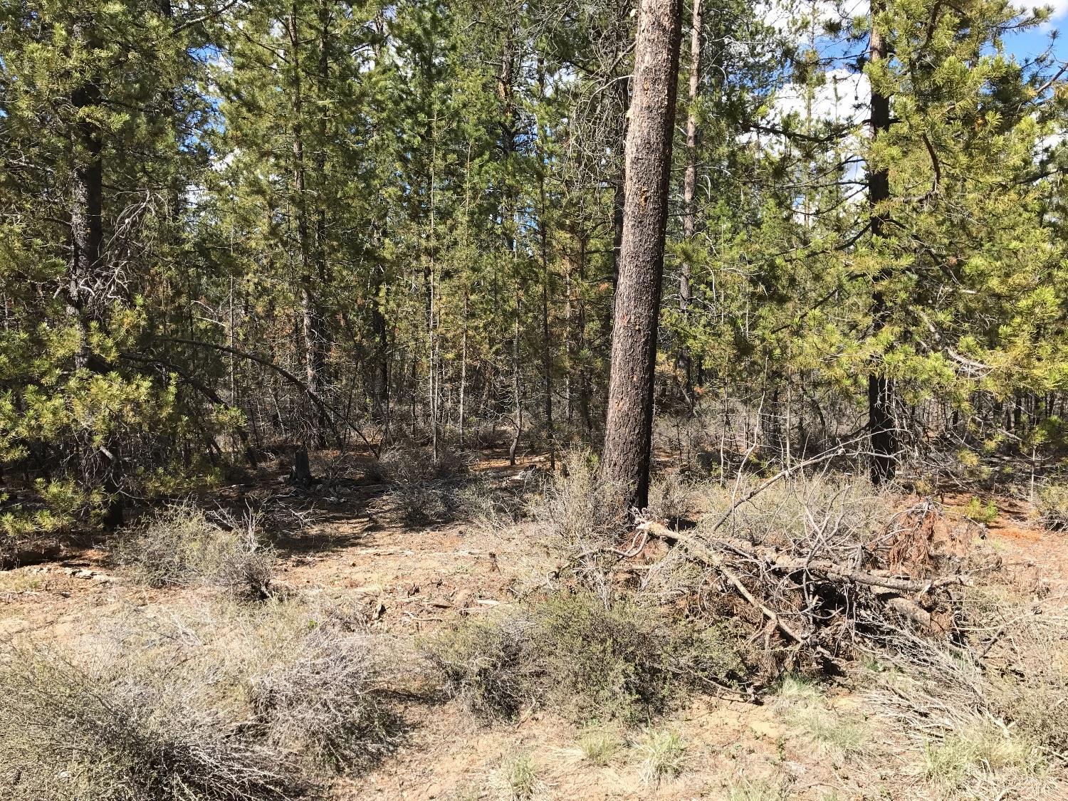 0Blue Bird Lane, La Pine, OR 97739