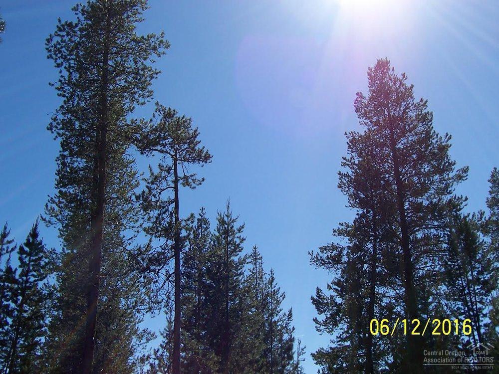 24 Ringo Court, La Pine, OR 97739