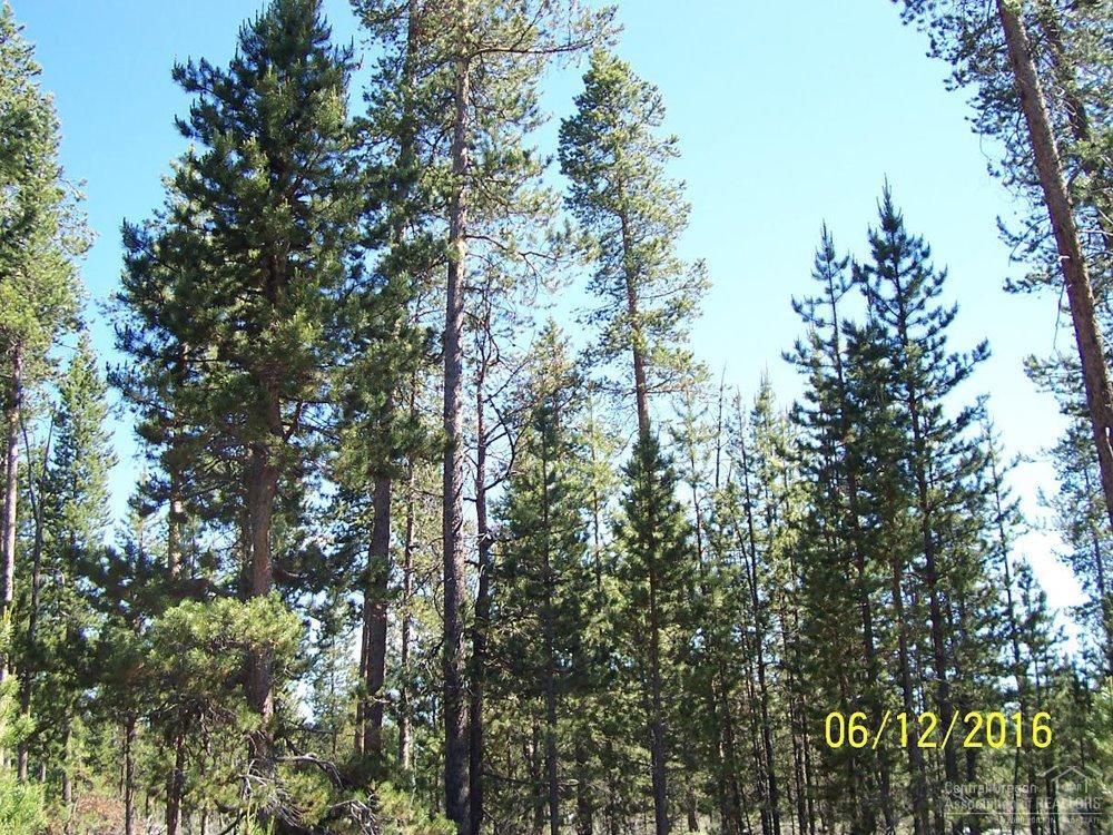 24 Ringo Court, La Pine, OR 97739
