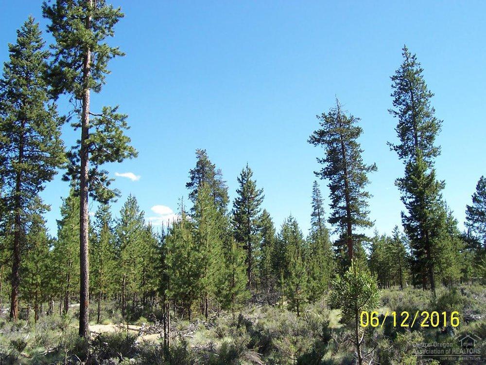 24 Ringo Court, La Pine, OR 97739