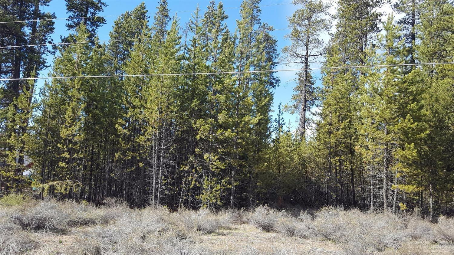 15644Twin Drive, La Pine, OR 97739