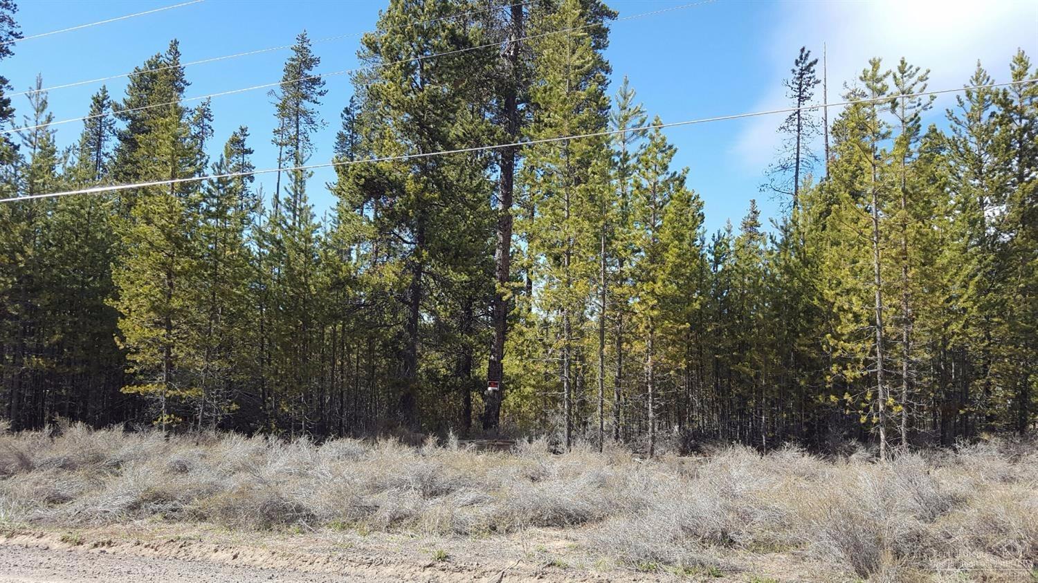 15644Twin Drive, La Pine, OR 97739