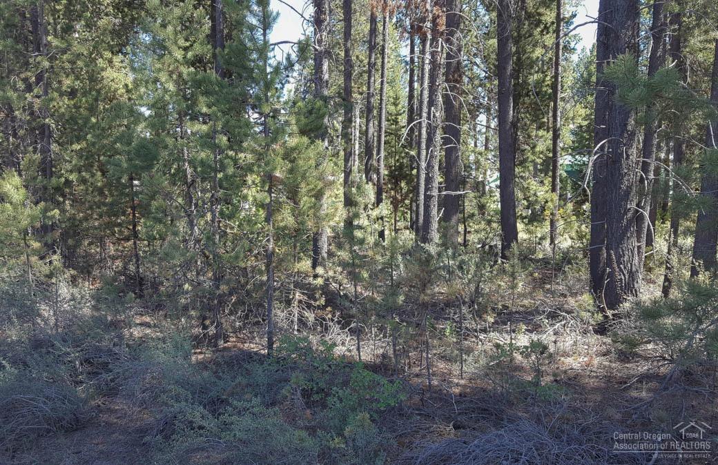 16161Park Drive, La Pine, OR 97739