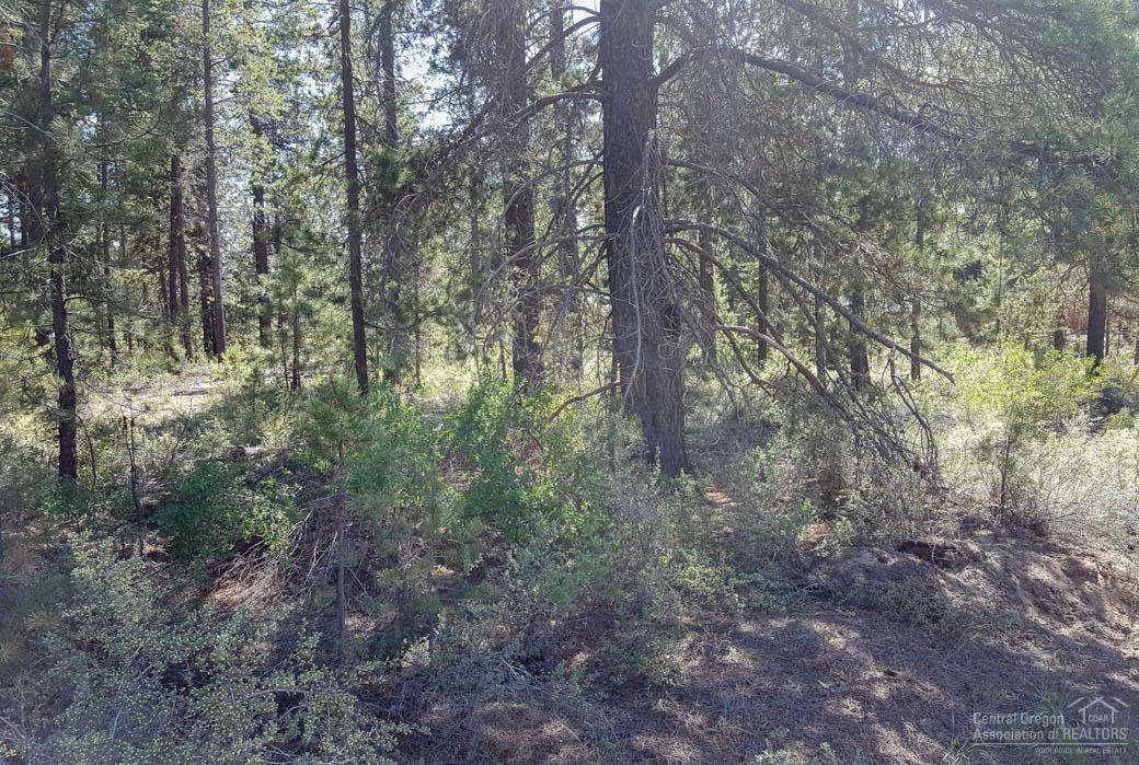 16161Park Drive, La Pine, OR 97739