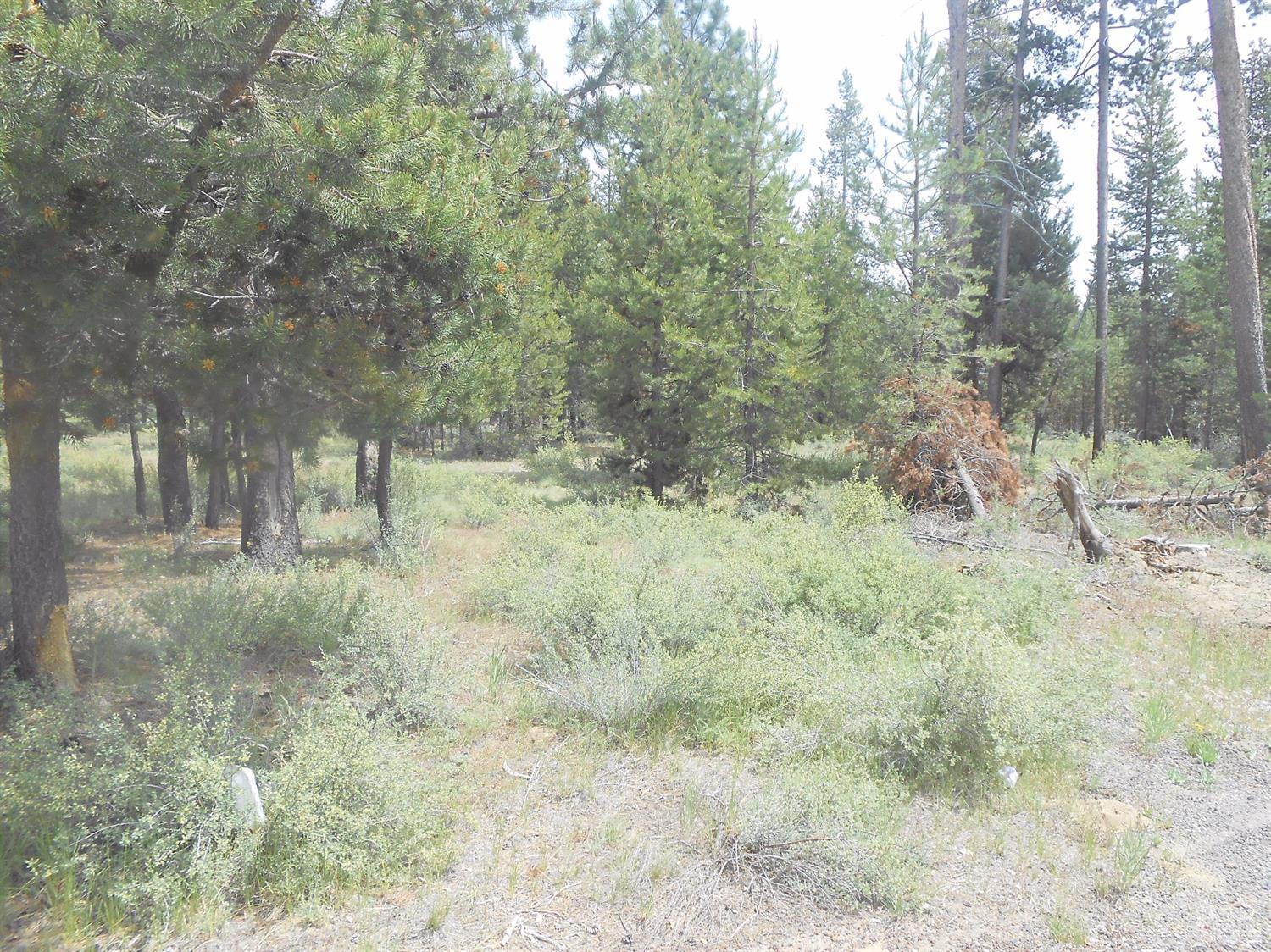 0Buena Vista Drive, La Pine, OR 97739