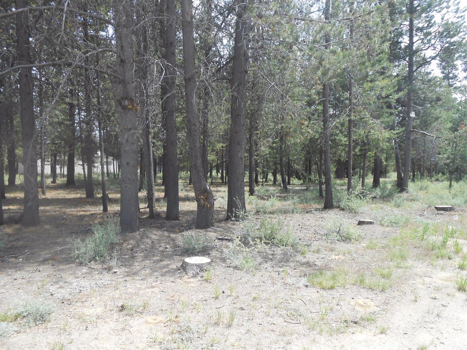 0Buena Vista Drive, La Pine, OR 97739