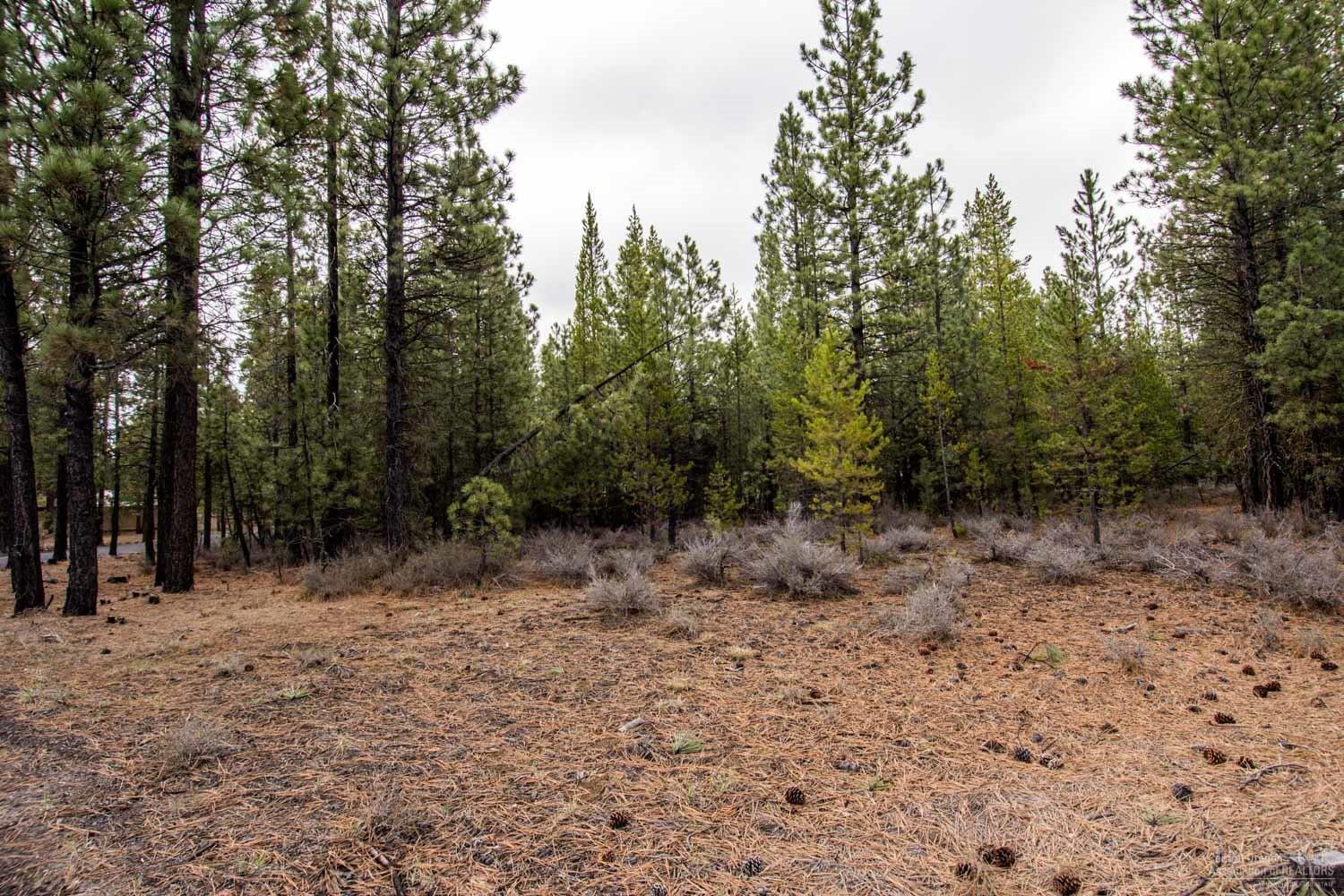 51876Ponderosa Way, La Pine, OR 97739