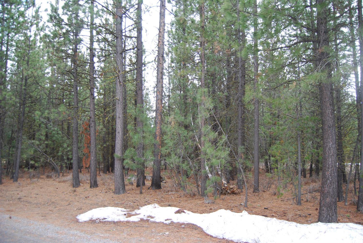 14801Springwood Road, La Pine, OR 97739