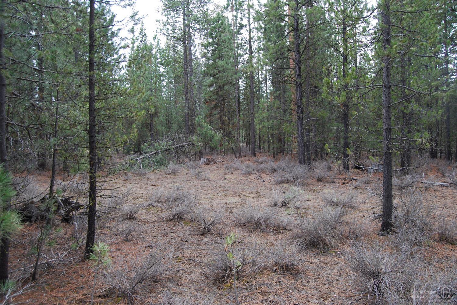 14801Springwood Road, La Pine, OR 97739