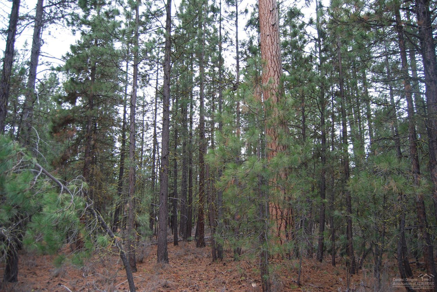 14801Springwood Road, La Pine, OR 97739
