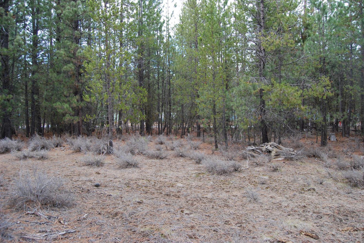 14801Springwood Road, La Pine, OR 97739