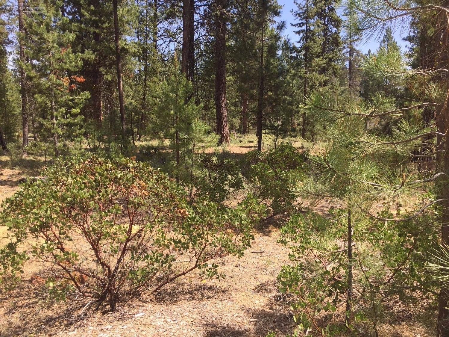53463Brookie Way, La Pine, OR 97739