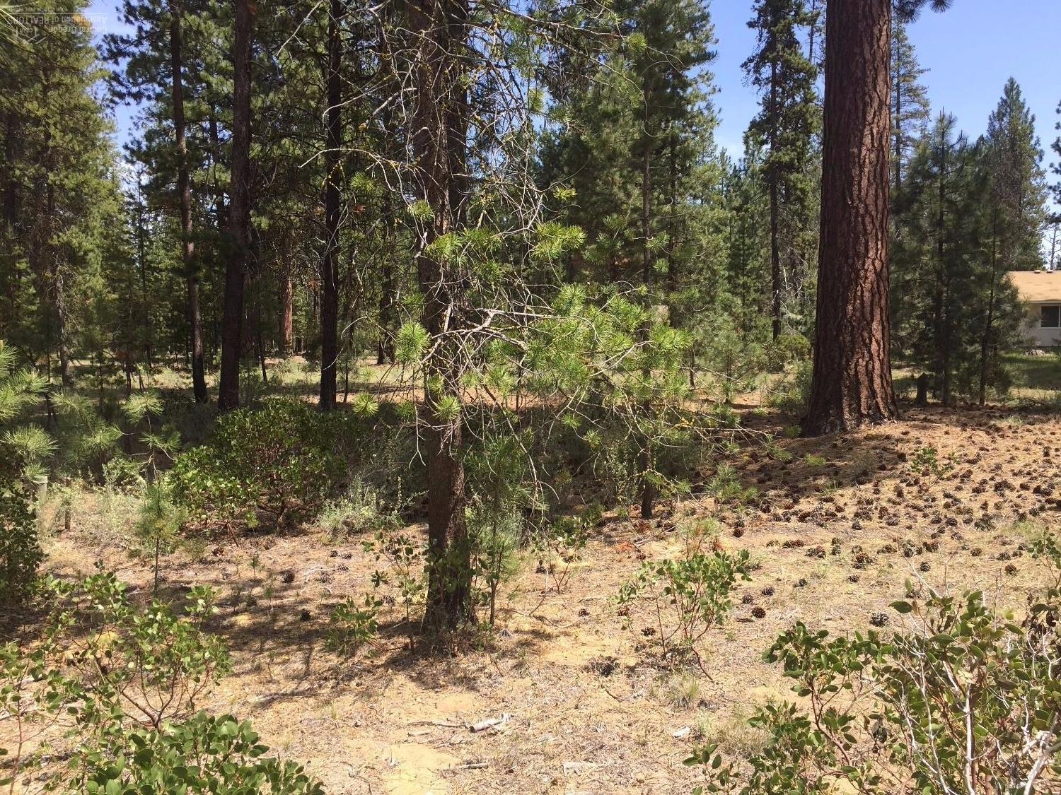 53463Brookie Way, La Pine, OR 97739