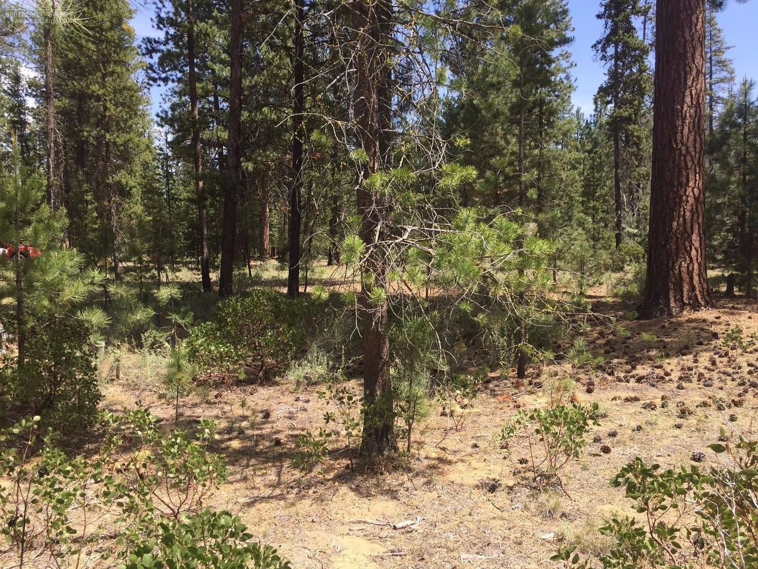 53463Brookie Way, La Pine, OR 97739
