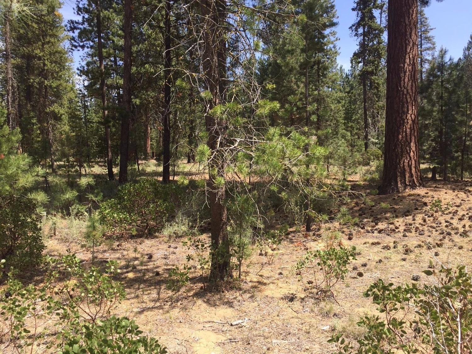 53463Brookie Way, La Pine, OR 97739
