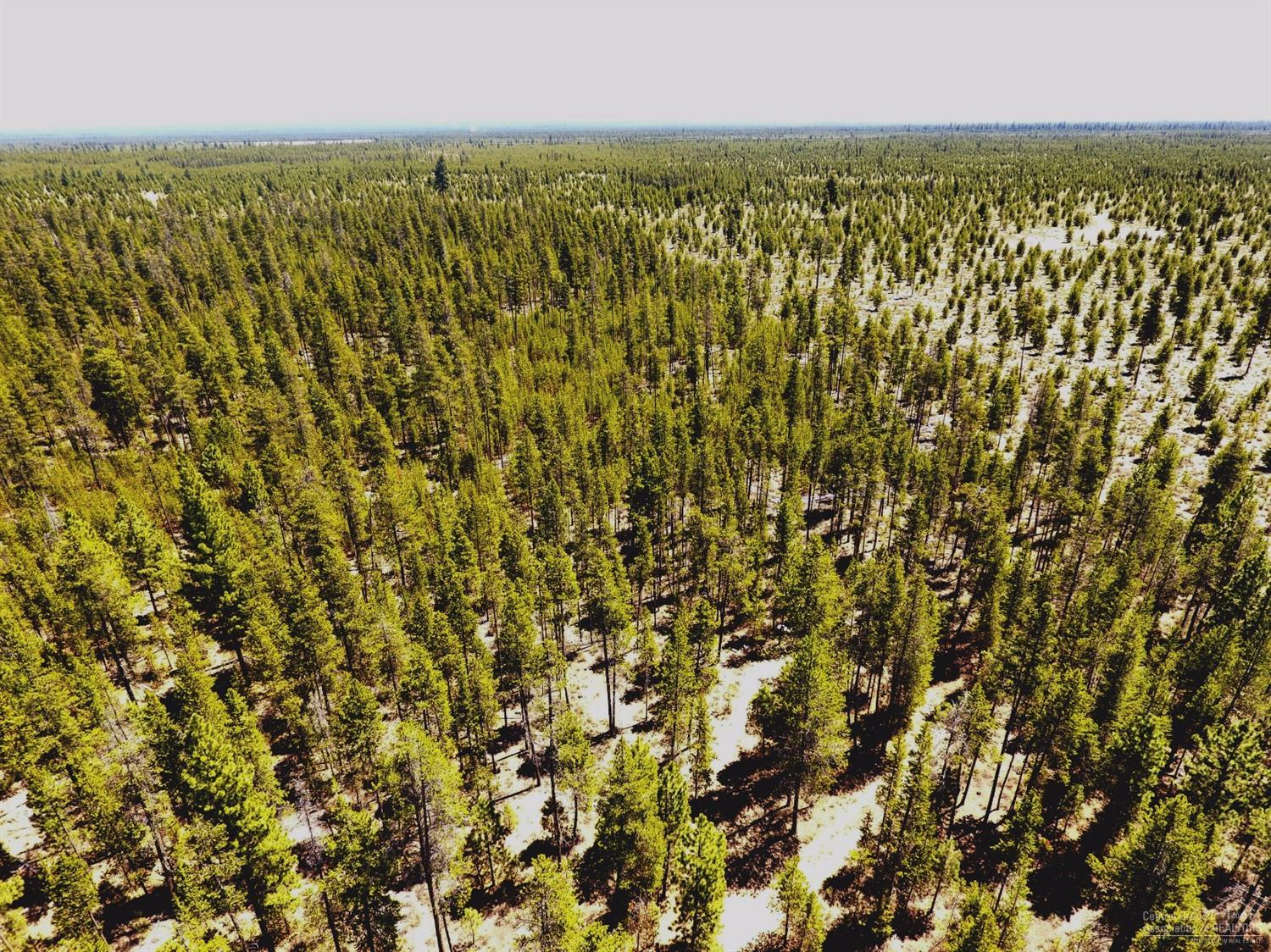 0Lariat Lane, La Pine, OR 97739
