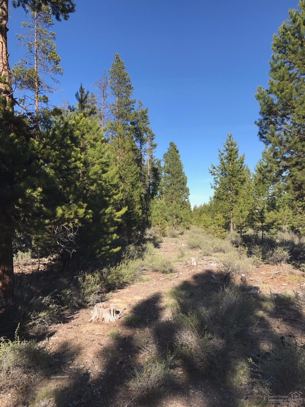 0Lariat Lane, La Pine, OR 97739