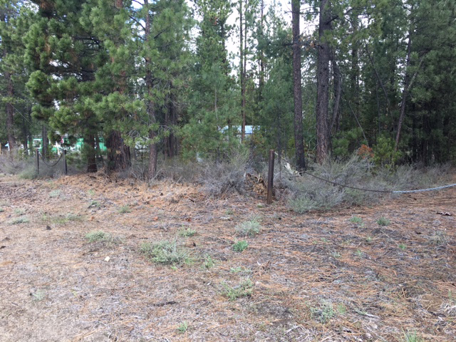 17631 Cosset Loop, La Pine, OR 97739