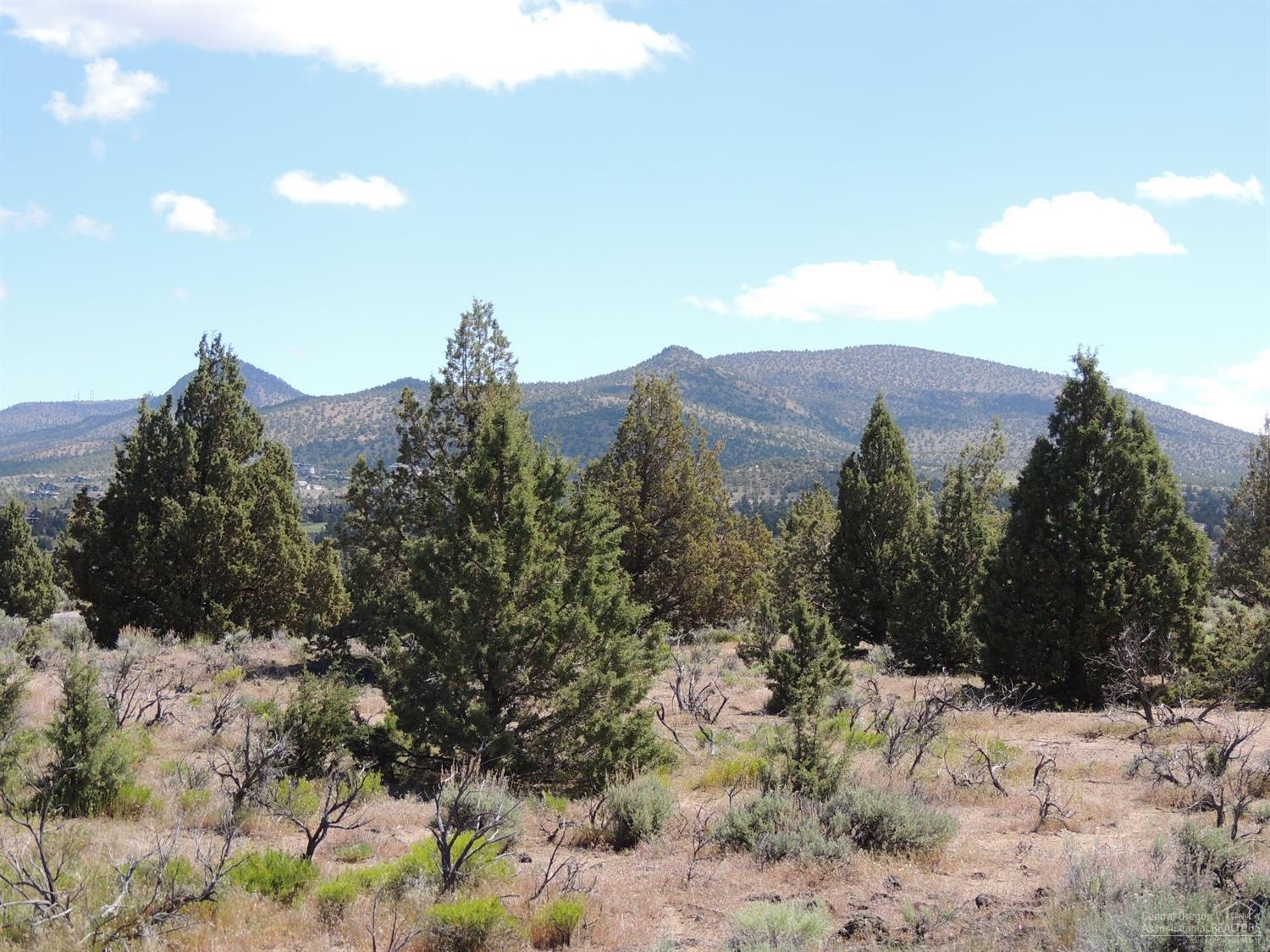 16557-Lot 407 Southwest Wildhorse Court, Powell Butte, OR 97753