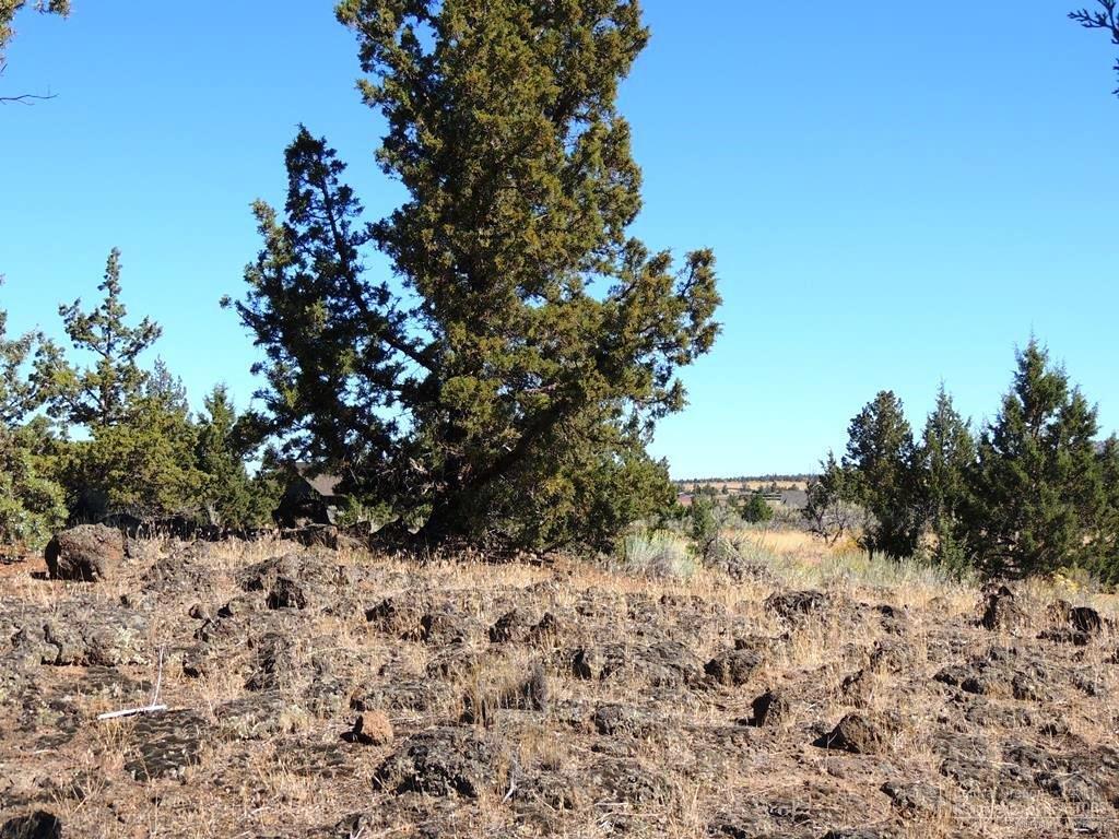 16557-Lot 407 Southwest Wildhorse Court, Powell Butte, OR 97753