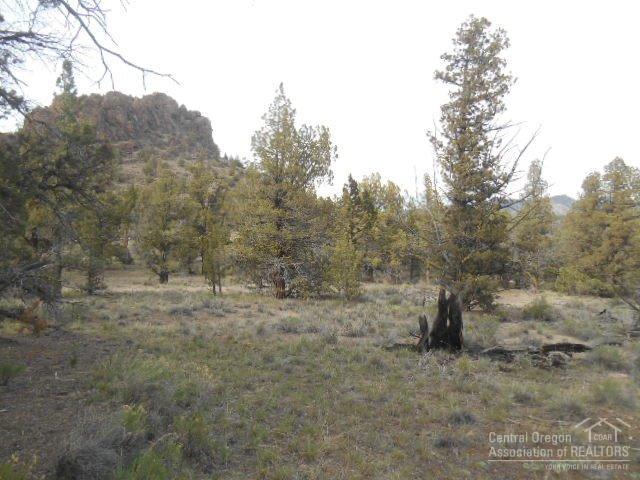 Prineville, OR 97754