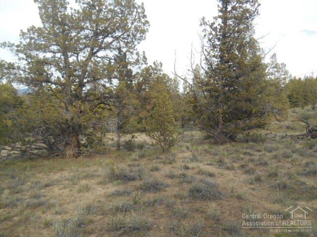 Prineville, OR 97754