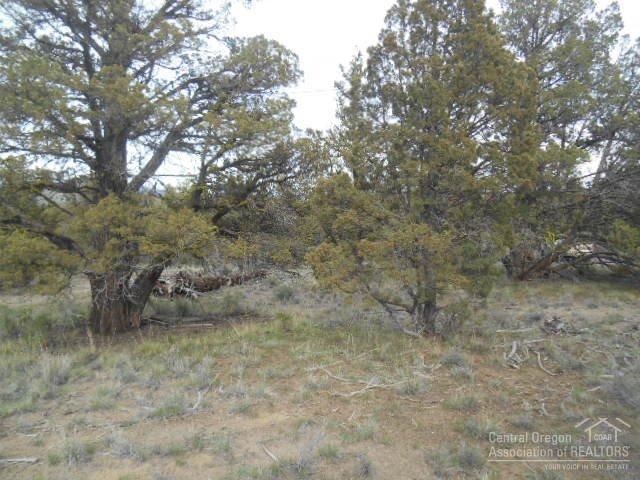 Prineville, OR 97754