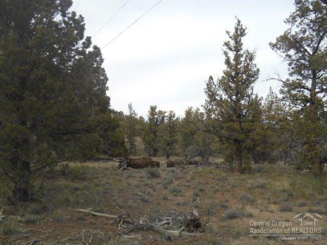Prineville, OR 97754