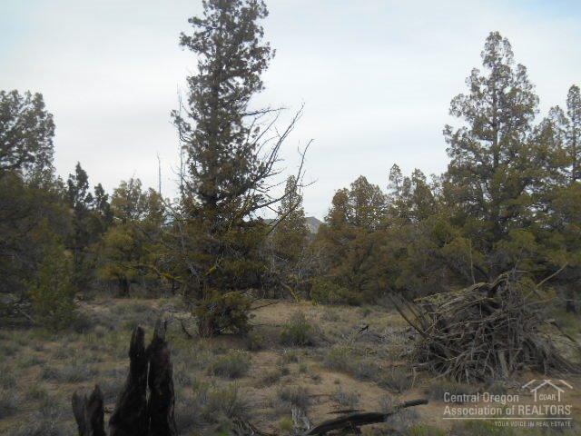 Prineville, OR 97754