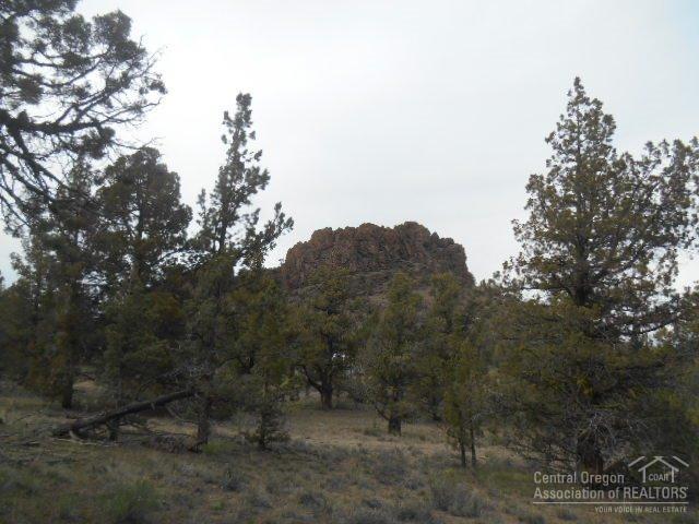 Prineville, OR 97754