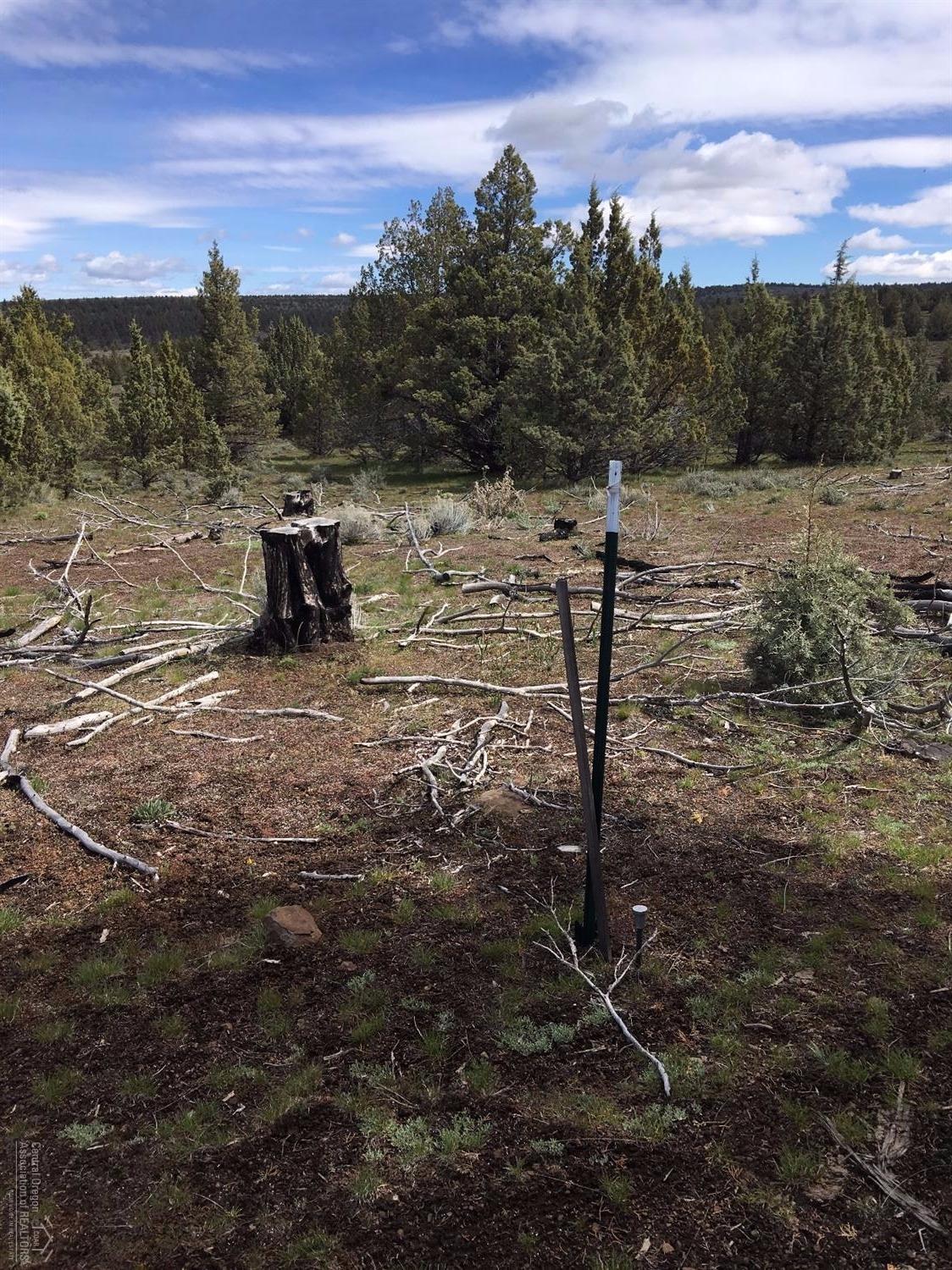 0-TL5600 Southeast Road E, Prineville, OR 97754