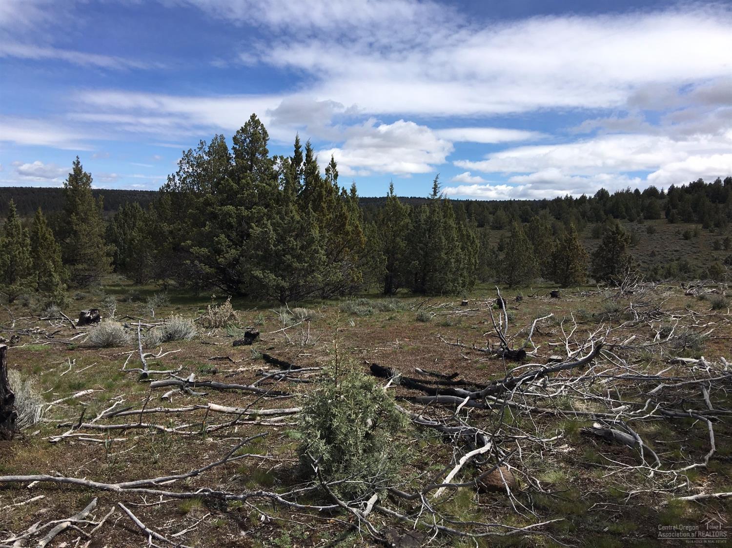 0-TL5600 Southeast Road E, Prineville, OR 97754