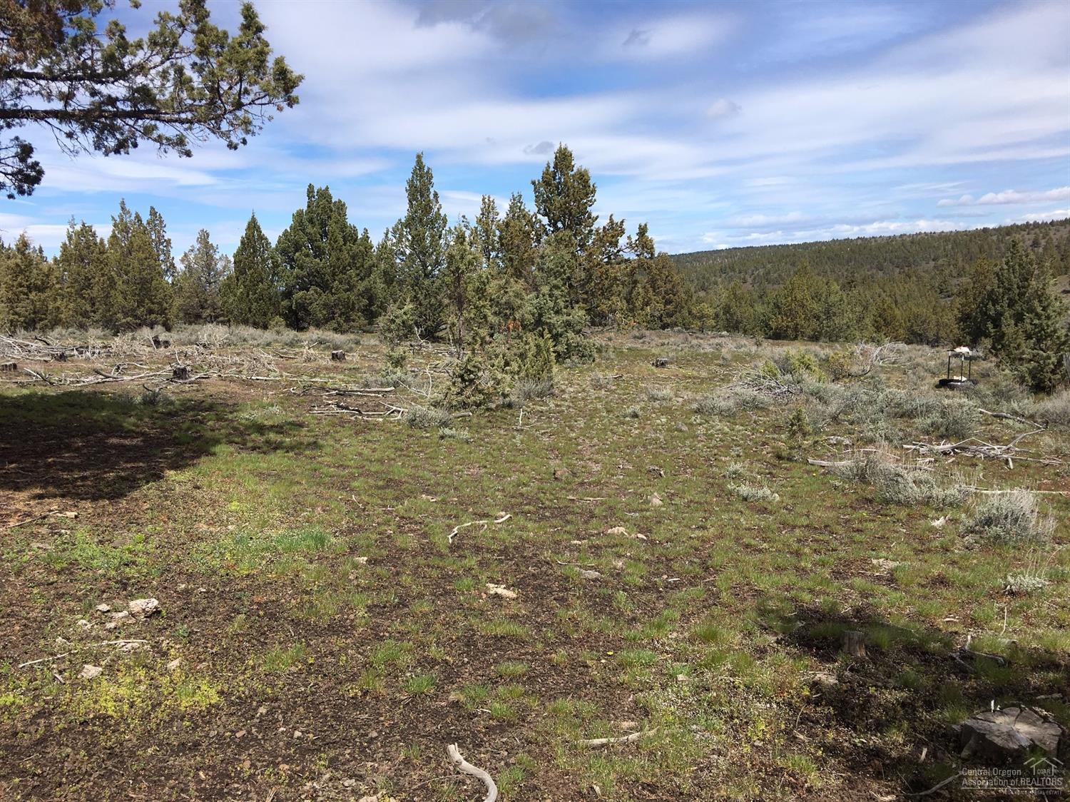 0-TL5600 Southeast Road E, Prineville, OR 97754