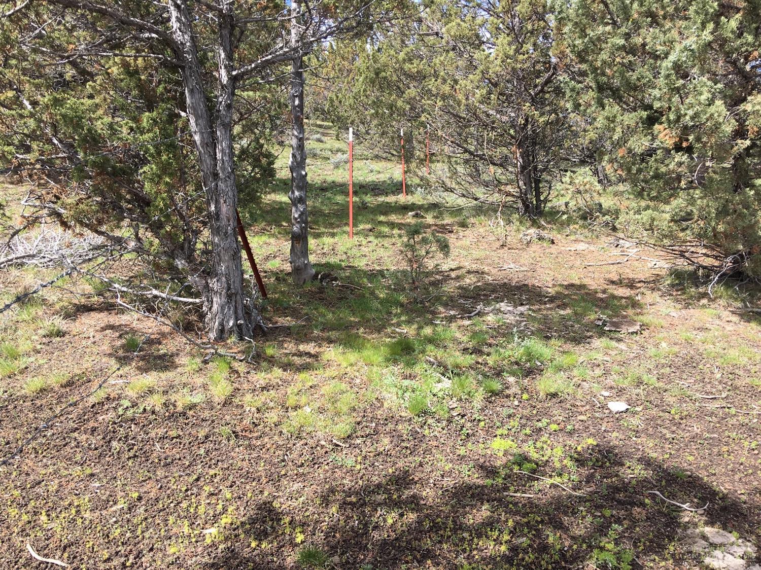 0-TL5600 Southeast Road E, Prineville, OR 97754